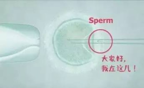 婚后女方户口迁出独立解析:优势与流程详解