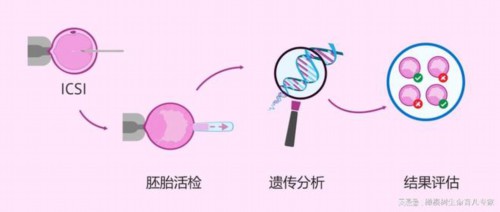 <b>历经艰辛终圆梦，成都三代试管助我迎来好孕</b>