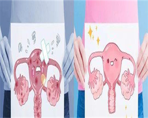 华孕宝：试管婴儿全过程详解与代生助孕服务指南
