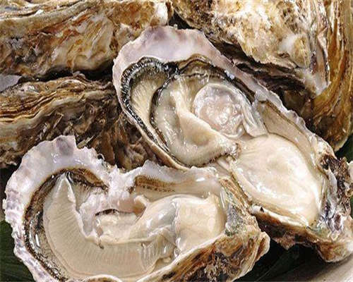 深圳同行携手支援疫区共克时艰