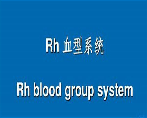 深圳三代试管婴儿省钱攻略与经验分享