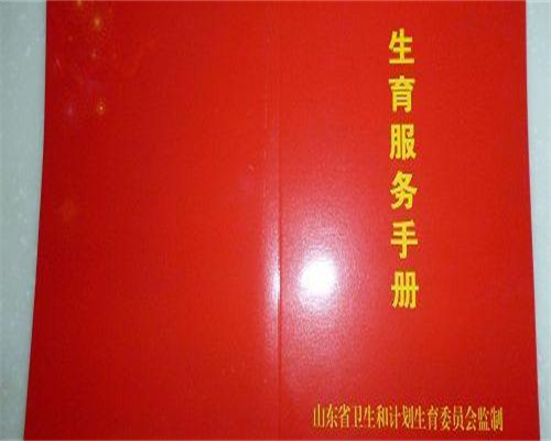 金牌助孕指南：国内两位女性如何实现试管婴儿梦想及医院选择技巧