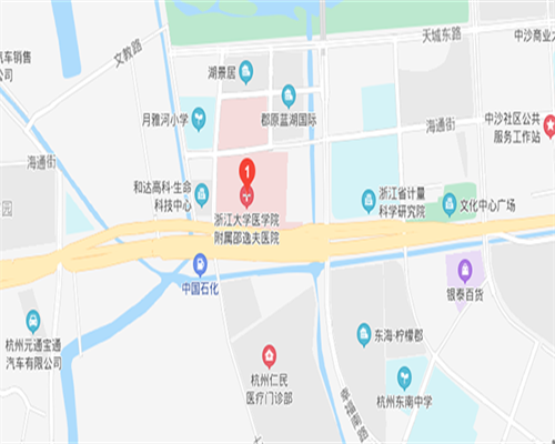 试管婴儿代孕成功的关键因素与细节解析