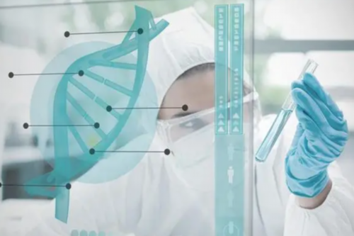 成都三代试管一次成功经历分享