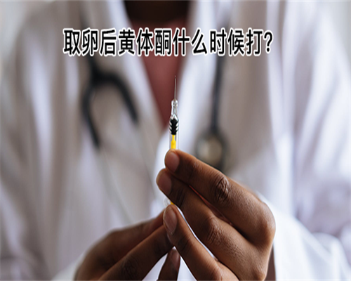 胚胎移植(IVF-ET)辅助生殖技术:提升活产率与应对高凝状态的关键